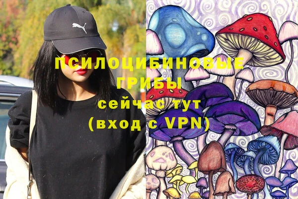 прущая мука Аркадак
