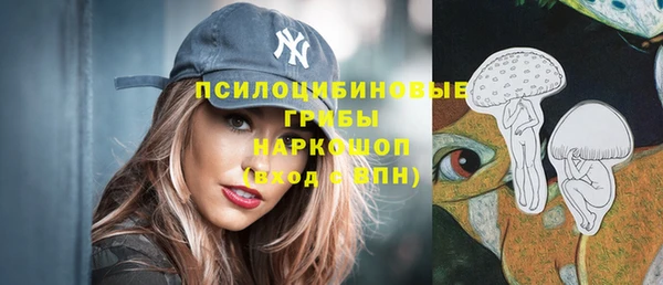 мет Арсеньев