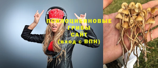 мет Арсеньев