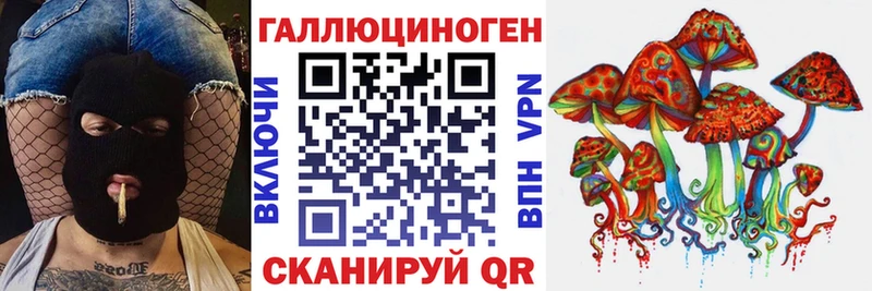 кракен как зайти  где купить   Хасавюрт  Псилоцибиновые грибы мицелий 